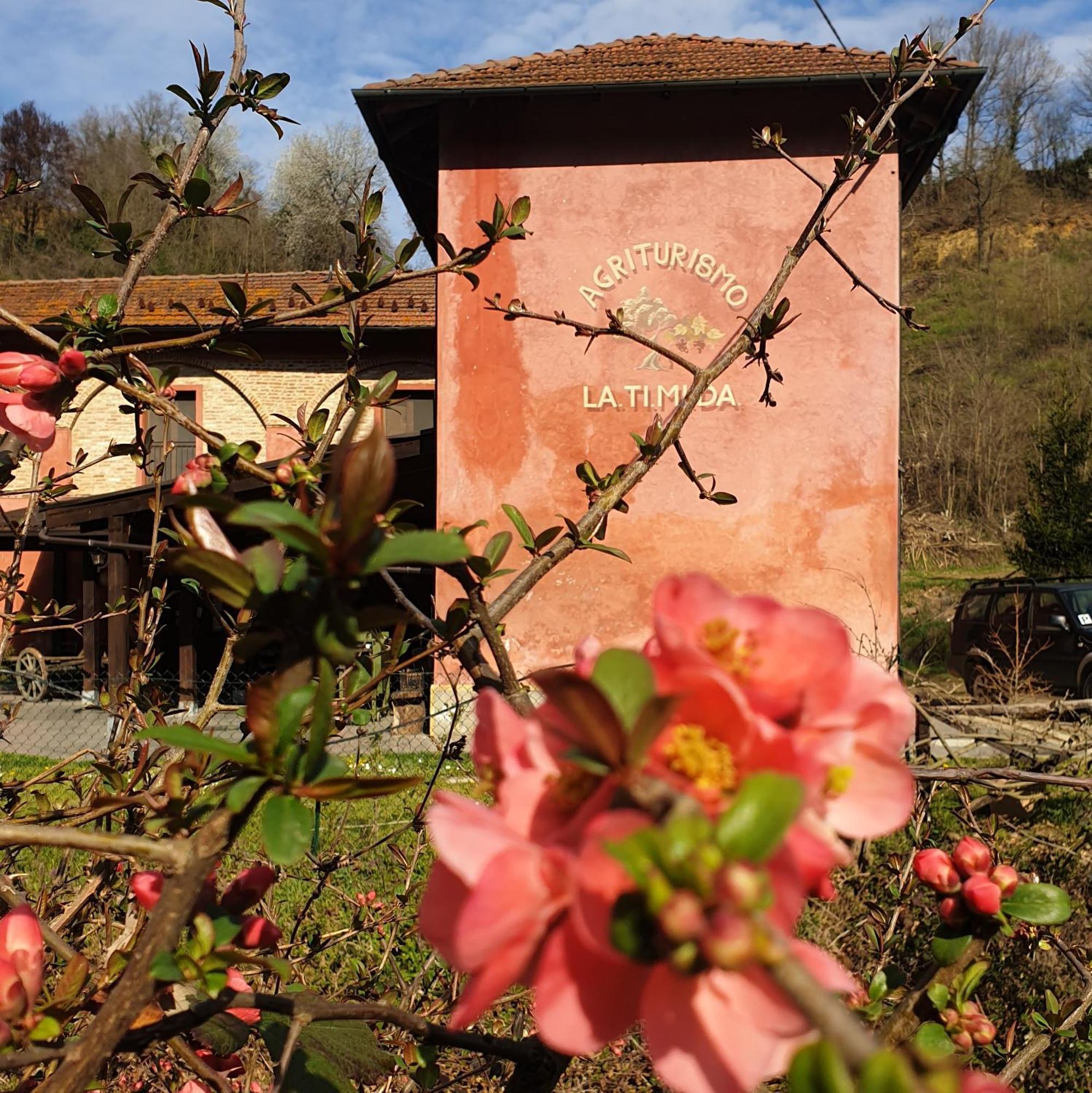 Agriturismo La.Ti.Mi.Da. Cassine Luaran gambar